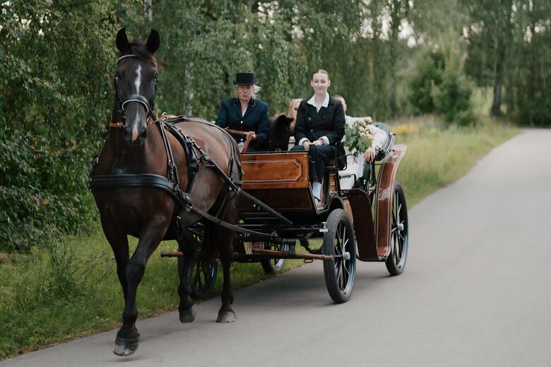 Zirgu izjādes kariete priekš kāziniekiem